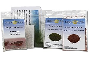 Triops Newberryi Starter Set Ultra ca 50 ägg Franska