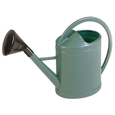 Eda Arrosoir Parisien en polyéthylène EDA, 3 L