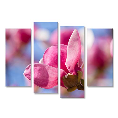 islandburner Tableau sur Toile Fleurs de Magnolia Rose sur Le Fond de Ciel Tableaux, Image, Poster JXF