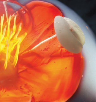 3d-Gelatine-Blumen: Stichnadel-Sprößlinge - 3