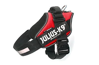 Julius-K9 ID