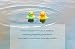 Mture Baby Bath Ducks - Rubber Duck Bath Toys No more Unhygienic Mouldy , Baby bath Toys Colourful Ducks Set for Babies Toddlers (Six Colours)