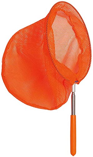 Preisvergleich Produktbild Ohne Marke – Fangnetz Ø 20 Teleskop Modell zufällige