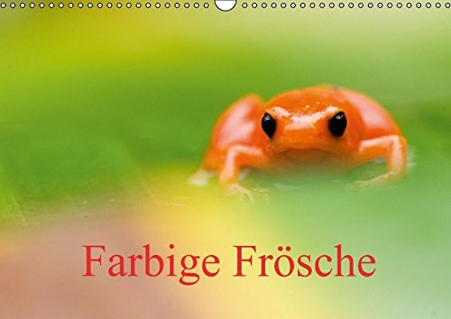 Farbige Frösche (Wandkalender 2016 DIN A3 quer)