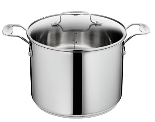 Tefal H8616114 Pro Inox Marmite et Couvercle Inox 22 cm Tous Feux Dont Induction