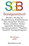 Sozialgesetzbuch, mit Sozialgerichtsgesetz (dtv Beck Texte) by 