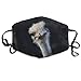 Produktbild Vidmkeo South African Ostrich Antidust Face Mouth Mask Pop Muffle Flu Washable Ski Masks