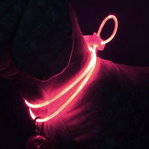 Light-Led-Glow-Flash-Puppy-Dog-Safety-Strap-Collar-Light-Emitting-Clip-Buckle-Adjustable-Round-Stylish