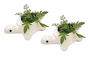 SHANAYRA Hand Crafted Miniature Turtle Combo Pots | Small Turtle Planter | White Combo Mini Ceramic Pots | Bonsai Holder for Indoor Plants,Succulent Planter,Decorative Ceramic Cactus Planter