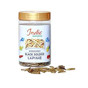 Indic Naturals Whole Dried Black Soldier Fly Larvae - 100 % Natural, High Protein Fish, Bird and Turtle Feed (50 GMS)
