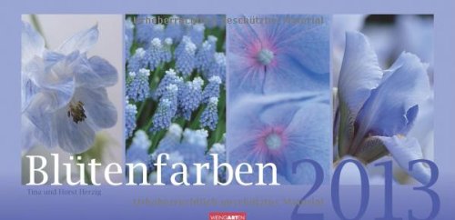 Blütenfarben 2013