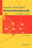 Image de Wirtschaftsinformatik: Einführung und Grundlegung (Springer-Lehrbuch)