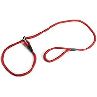 Nylon Seil Hundeflüsterer Cesar Millan Stil rutschfeste Zug Leine Leine Halsband HOT (rot, 1cm)