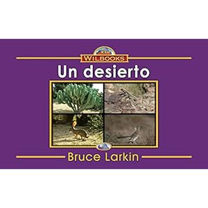 Un desierto