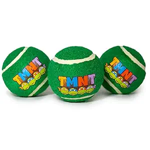 Dog Toy, Nickelodeon, Tennis Balls Teenage Mutant Ninja Turtles TMNT Logo Turtle Faces Green