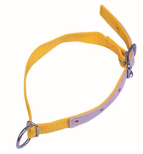 Halsriemen für Schafe Nylon 60 cm, verpackt