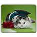 Produktbild (Augen-Mausunterlage) Qualitätsmausunterlage, Katzenpelzaugen-Hutblumen, Spiel-Büro Mousepad
