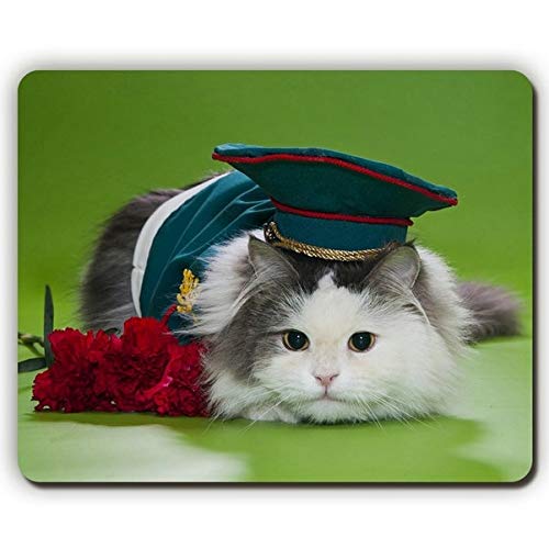 Preisvergleich Produktbild (Augen-Mausunterlage) Qualitätsmausunterlage, Katzenpelzaugen-Hutblumen, Spiel-Büro Mousepad