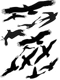 Alerta de ventana - porque los pájaros no pueden ver el cristal. Hecho de vinilo autoadhesivo de larga duración.