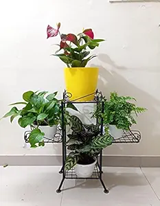 CAPPL 4 Pot Stand Square