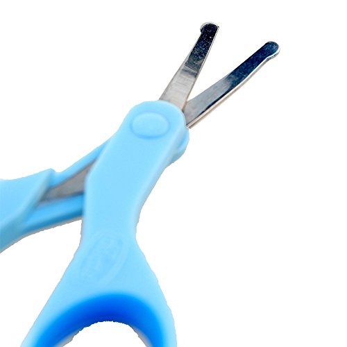 Chicco Babyschere inklusive Schutzkappe, blau - 6