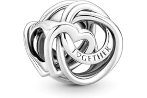 BEEUVIP Charmes Animaux personnages vie pour Bracelets - Charms de Perles ajourées en Argent Sterling 925, charmes de Coeur d'amour pour Bracelets et Colliers pour Femmes Filles