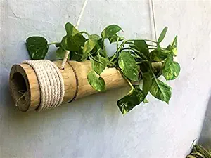 NAOE Hanging Planter Made of Bamboo