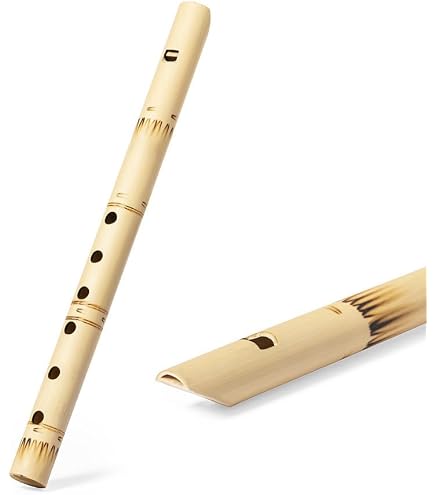 Indische Bambusflte fr Anfnger bis Profis, Konzertquerflte  Normaltonleiter C-Dur, 33 cm (13 Zoll), indische Bambus-Querflte Bansuri :  Amazon.de: Musikinstrumente & DJ-Equipment