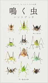Amazon Fr 鳴く虫ハンドブック コオロギ キリギリスの仲間 Livres Amazon Fr 鳴く虫ハンドブック コオロギ キリギリスの仲間 Livres