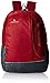 Aristocrat Zing 25 Ltrs Red Laptop Backpack (LPBPZIN3RED) RS.745.00