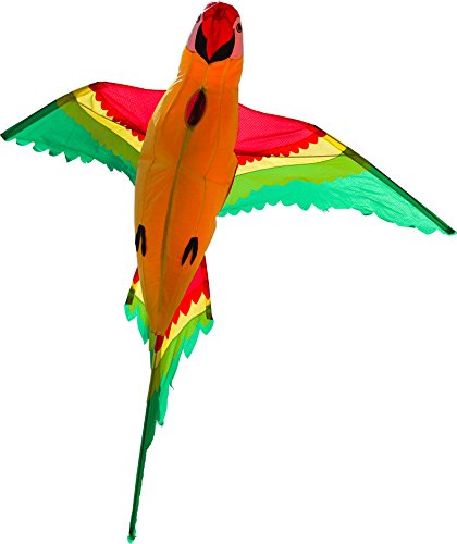 Preisvergleich Produktbild HQ Unisex Jugend Einleiner Parrot 3D