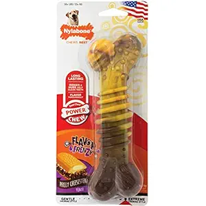 Nylabone Flavor Frenzy Souper Dura Chew Cheesesteak Flavored Bone Dog Chew Toy