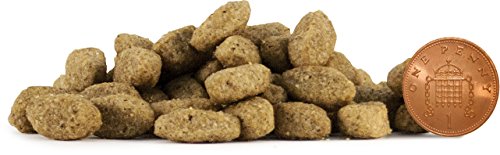 Skinners-Field-and-Trial-Light-and-Senior-Dog-Food