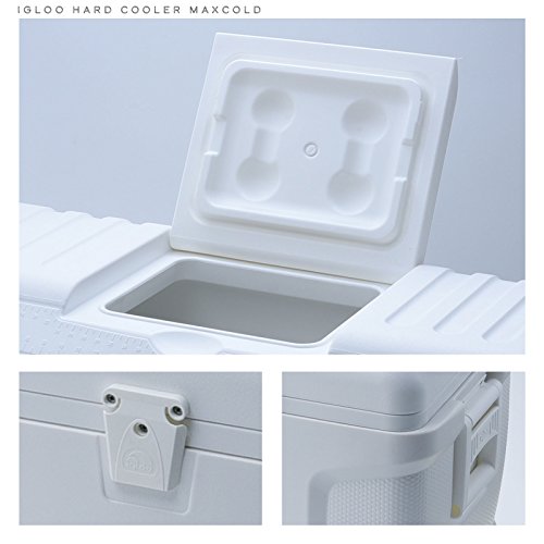 igloo contour maxcold 165 qt cooler