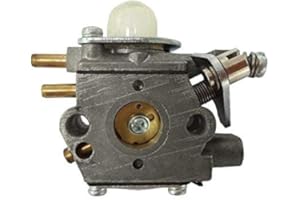 CTS Carburatore per ECHO GT2400 PE2400 PP1250 PP1260 PP1400 SHC2400 SRM2400 SRM2410 SRM2450 CASTORAMA M28