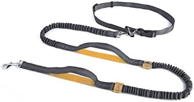 Multifunctional Reflective Hands Free Dog Leash Dual Bungee Adjustable Running Jogging Dog Lead orange