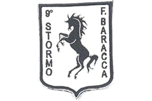 GS1 Patch Toppa Ricamata con Velcro Aeronautica Militare 9° Stormo F. Baracca Art.9-S