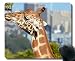 Produktbild Spiel-Mäusematte, Tier-Sydney-Australien-Giraffe Mauspad Genähte Grenze