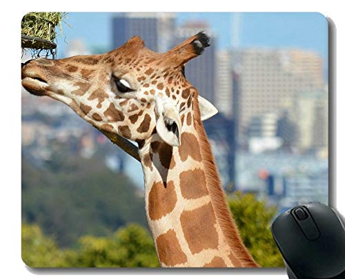Preisvergleich Produktbild Spiel-Mäusematte, Tier-Sydney-Australien-Giraffe Mauspad Genähte Grenze