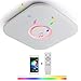 Produktbild LED Deckenleuchte Bluetooth Dimmbar 36W Quadratischer Sternpunkt RGB mit Lautsprecher Musik Smart Deckenlampe