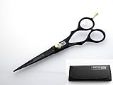 Professional Hairdressing Scissors 6.5 inch - DEEP BLACK + Presentation Case