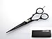 Professional Hairdressing Scissors 6.5 inch - DEEP BLACK + Presentation Case