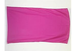 AZ FLAG - Bandera Unicolor Morado - 90x60 cm - Bandera Morada 100% Poliéster Con Ojales de Metal integrados - 50g - Colores Vivos Y Resistente A La Decoloración