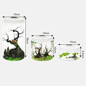 tonosevilla–Terrarium für Reptilien aus Kunststoff (S)