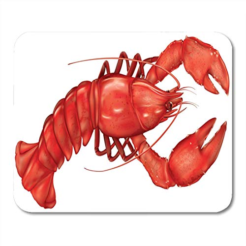 Preisvergleich Produktbild Gekochter Meeresfrüchte-gekochter Hummer auf weißer Greifer-Krebs-köstlicher Mausunterlage für Notizbücher, Tischrechnermatten Büroartikel