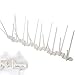 Produktbild Cablefinder 33 cm x 11 cm klar Anti-Vogel/Taube Spikes * zuschneidbar * Fensterleiste Dach Wand