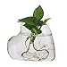 Generic Clear Heart Glass Vase Plant Flower Hydroponic Bottle Pot Table Decorations RS.335.00