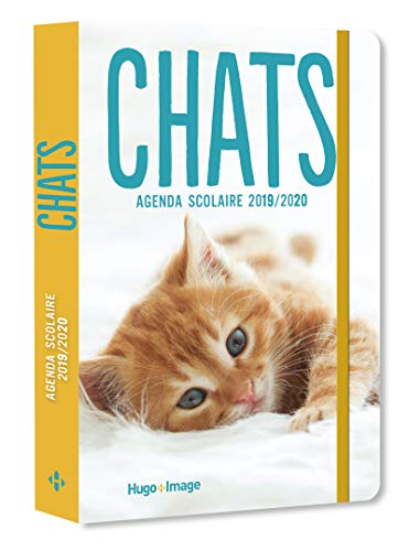 Télécharger Agenda scolaire 2019-2020 Chats livre En ligne