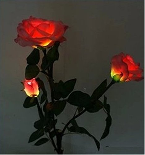 ANKKO Solarbetriebene künstliche Rose Blumen LED Leuchten Garten Landschaft Decor – Rot - 7
