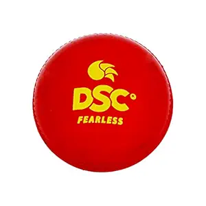 DSC Leather Cricket Ball (Red)